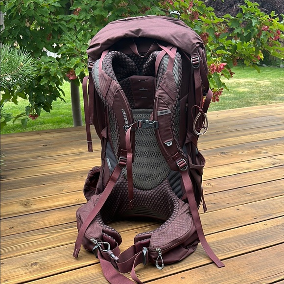 Gregory Maroon Women’s Deva 60 + Raincover - Picture 4 of 8